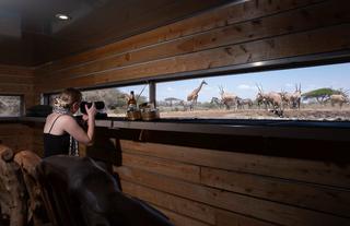 Game viewing from the hide