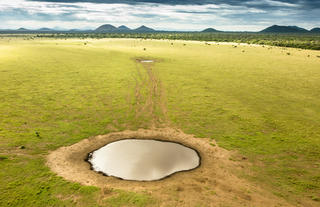 Waterhole on the Plains