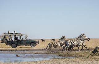 Game Drives 