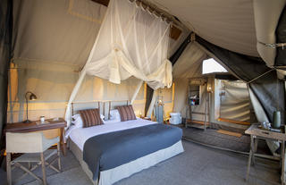 Linyanti Expeditions 