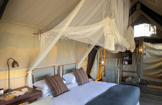 Linyanti Expeditions 