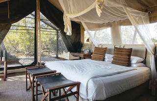 Linyanti Expeditions 