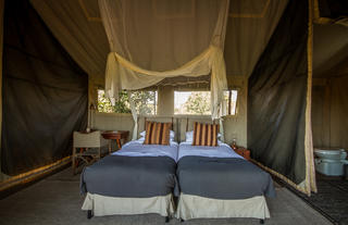 Linyanti Expeditions 