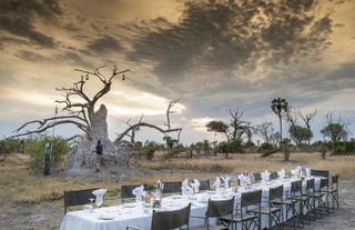 Bush Dinner