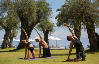 Wellness