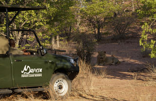 Game Drives