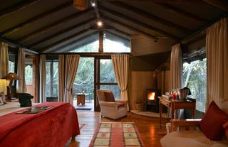 Forest Camp, Tent interior