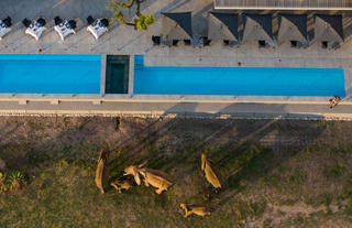 Main Lodge pools