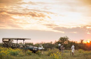 Sunset Drink Stop