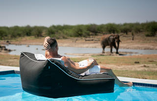 Pool pillow Pool Safari
