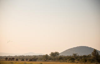 Waterhole View