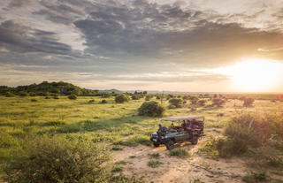 Game drive at Sunrise