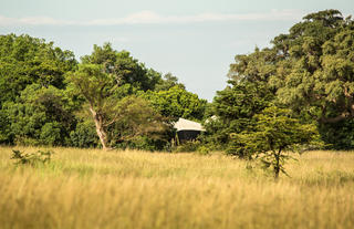 Mara Plains Tent Exterior View