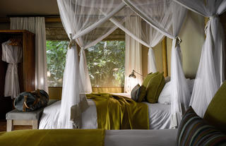 Sanctuary Gorilla Forest Camp Luxury Tent