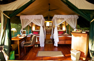 Luxurious Twin Tent