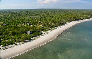 Between the Bush and the Beach