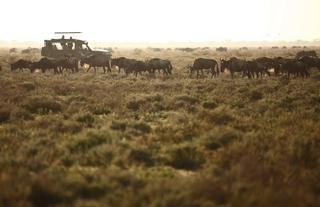 &Beyond Serengeti Under Canvas