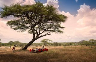 &Beyond Serengeti Under Canvas