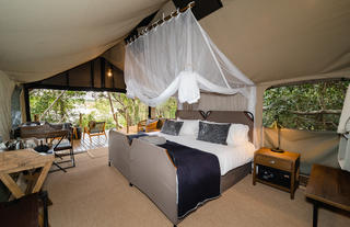 Luxury Safari Tent