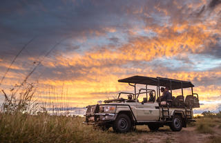 Sunset Game Drives