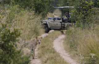 Game drive