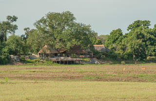 Kafunta River Lodge - From the plains