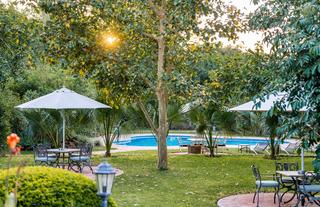 Garden and Pool 