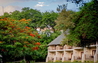 Luxury Safari rooms