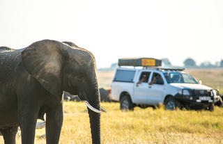 The Chobe Safari Lodge Campsite