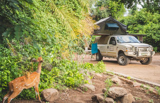 The Chobe Safari Lodge Campsite