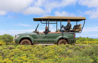 Game Drive 