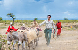 Donkey Walk