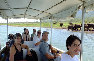 Viewing Elephants from a boat - highlight of the stay