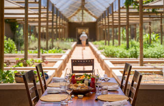 Wolwedans Boulders Camp lunch in the garden