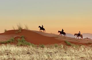Horse riding