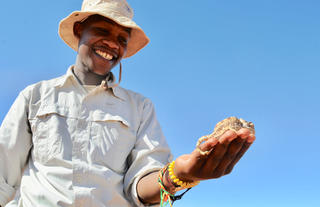 Bushman walks