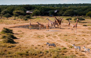 Tumaren Waterhole