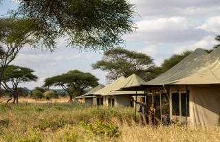 Guest tents