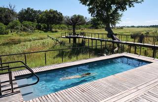 Xigera Safari Lodge