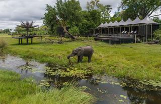 Xigera Safari Lodge