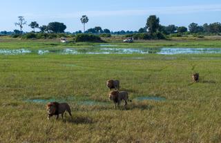 Xigera Safari Lodge