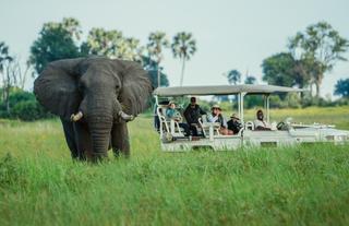 Xigera Safari Lodge