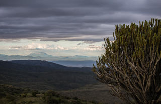 The view into the North from Borana Conservancy
