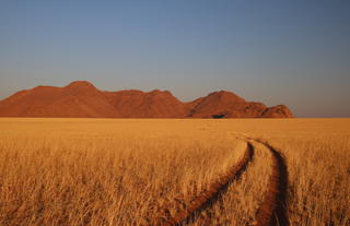 Kwessi Dunes - Landscape