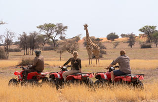 Quad Bike Game Drive