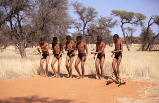 Bushman Walk