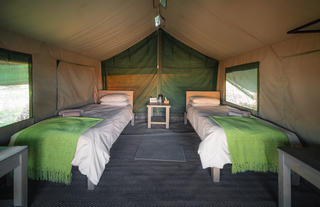 Twin eco-tent interior