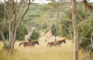 Mihingo Lodge Horse Safaris
