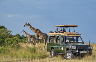 The Game Drive Experience