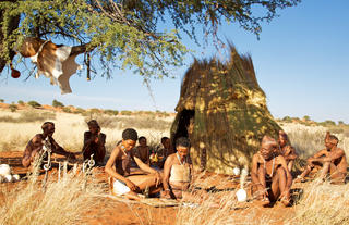 Bushman village